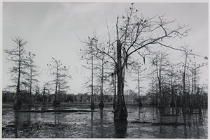 Image description is not available for 2018.008